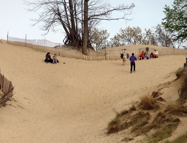 indiana dunes hill